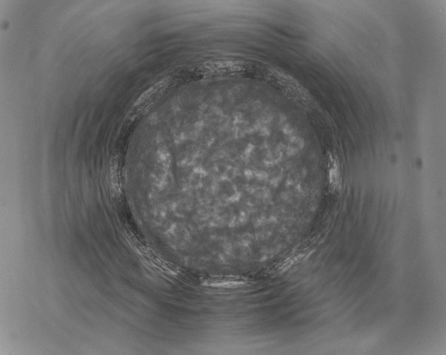 X0000070250819200606301623