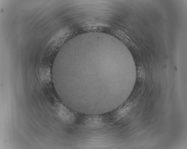 X0000070250820200606301623