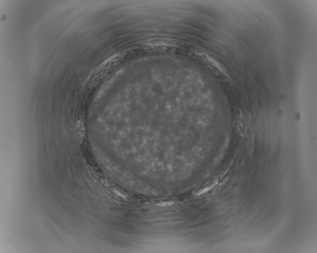 X0000070250821200606301623