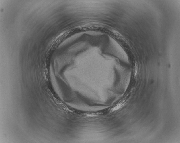 X0000070250822200606301623