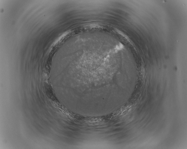 X0000070250823200606301623