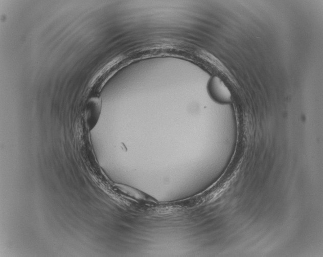 X0000070250826200606301623