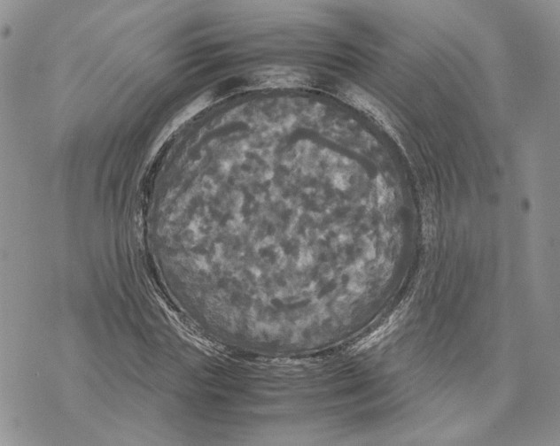 X0000070250827200606301623