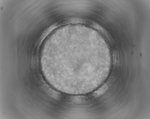 X0000070250828200606301623