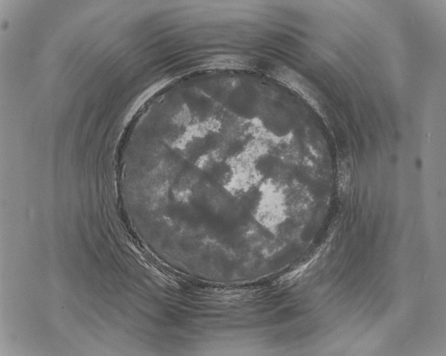 X0000070250829200606301623