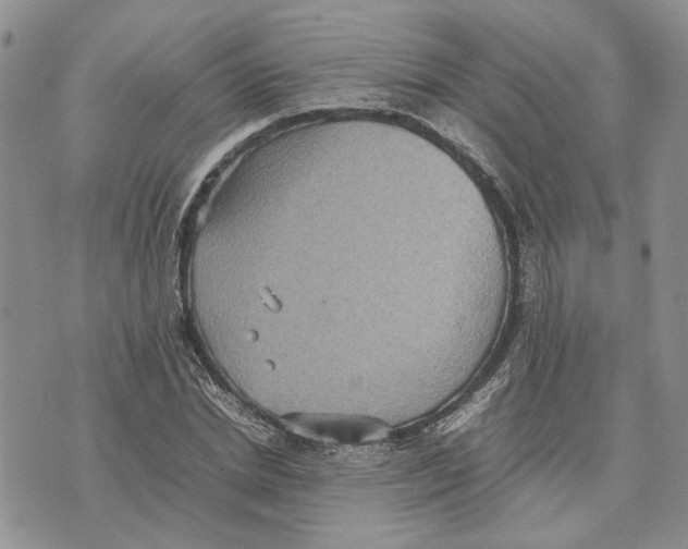 X0000070250830200606301623