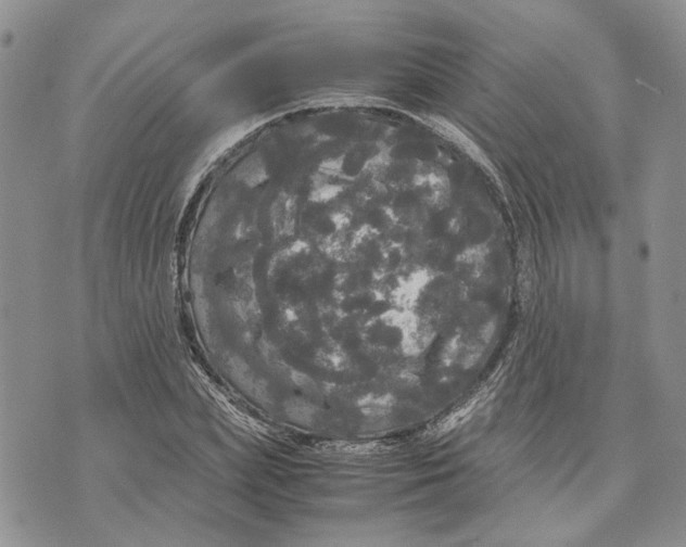 X0000070250831200606301623