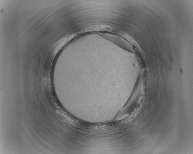 X0000070250834200606301624