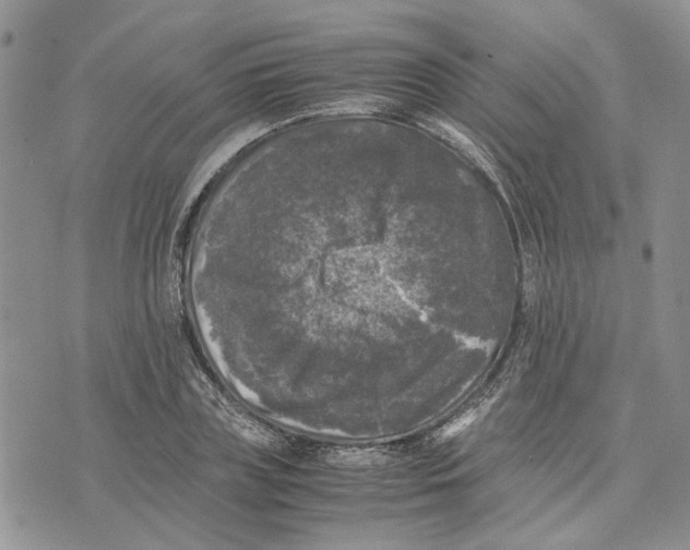 X0000070250835200606301624