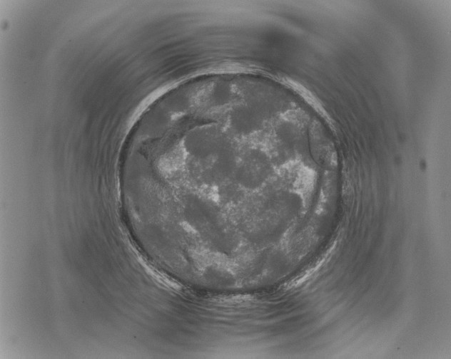 X0000070250837200606301624