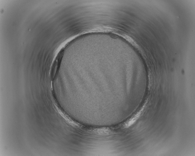 X0000070250838200606301624