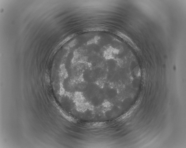 X0000070250841200606301624