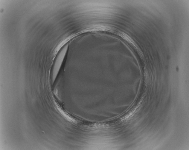 X0000070250842200606301624