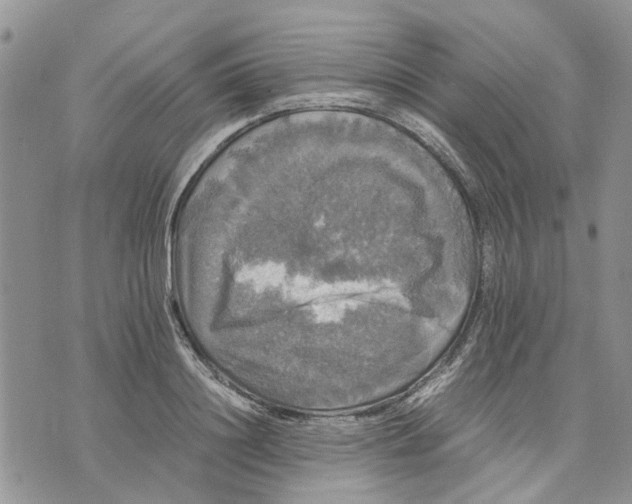 X0000070250844200606301624