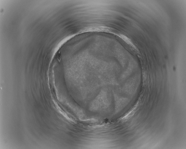 X0000070250846200606301624