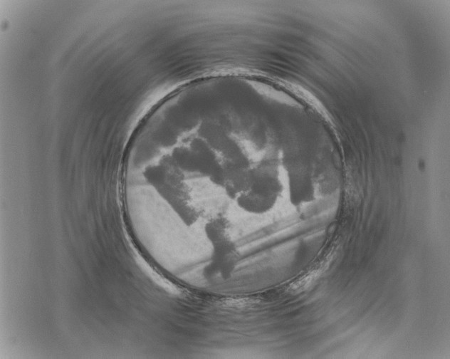 X0000070250847200606301624