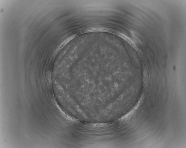 X0000070250849200606301624