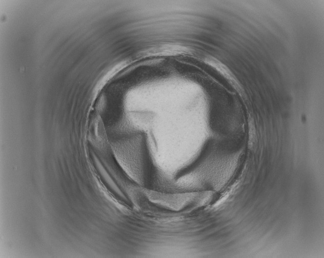 X0000070250850200606301624