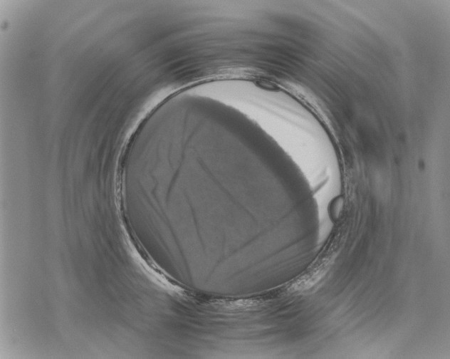 X0000070250851200606301624