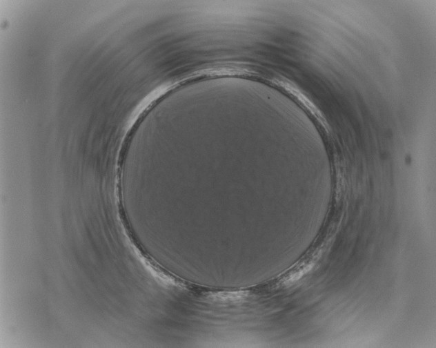 X0000070250853200606301624