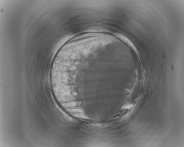 X0000070250855200606301624