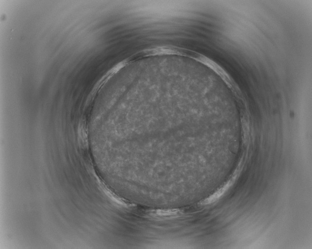 X0000070250857200606301624