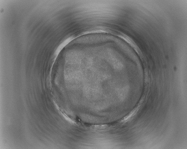 X0000070250858200606301624