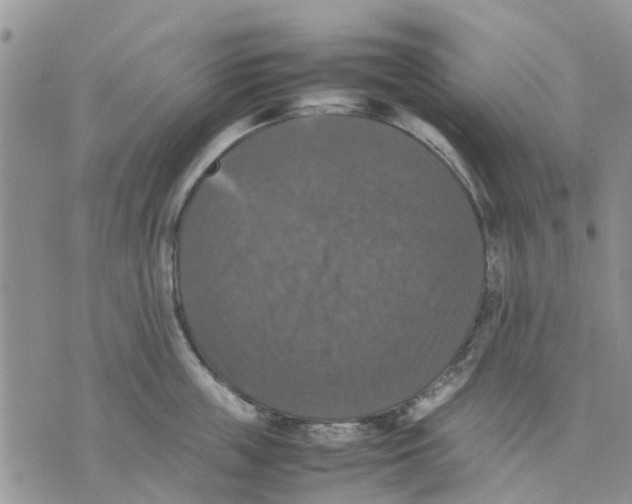 X0000070250859200606301624