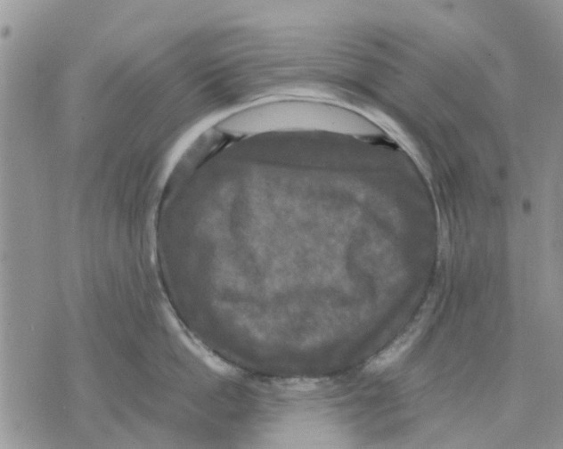 X0000070250862200606301624