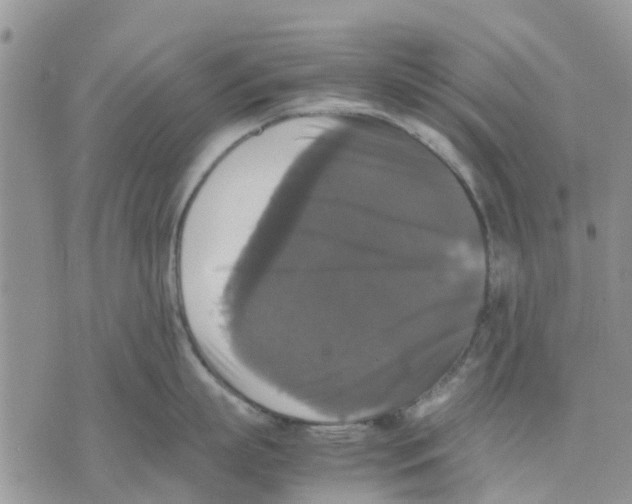 X0000070250863200606301624