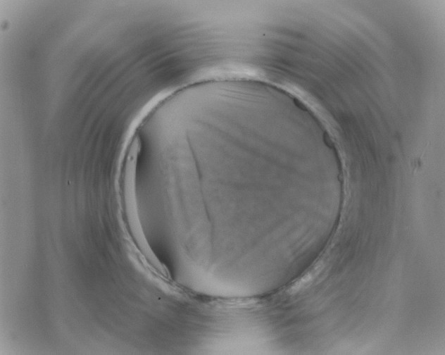 X0000070250864200606301624