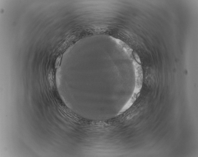 X0000070250866200606301623