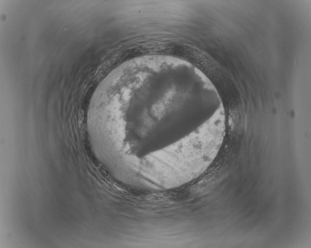 X0000070250867200606301623