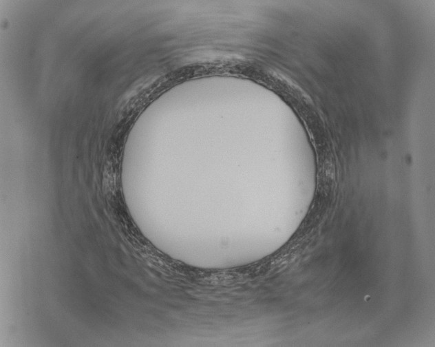 X0000070250869200606301623