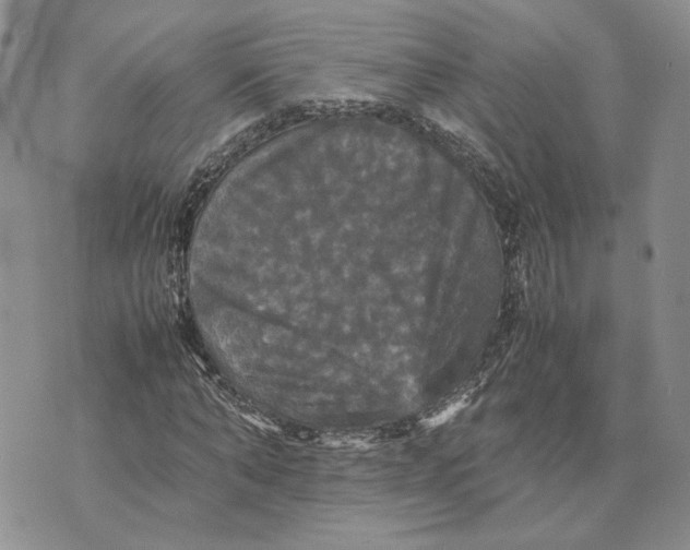 X0000070250870200606301623