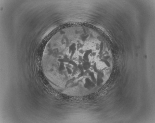 X0000070250871200606301623