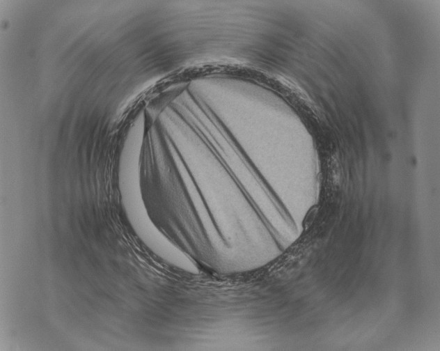 X0000070250872200606301623