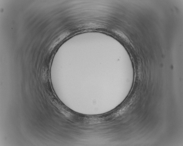 X0000070250873200606301623