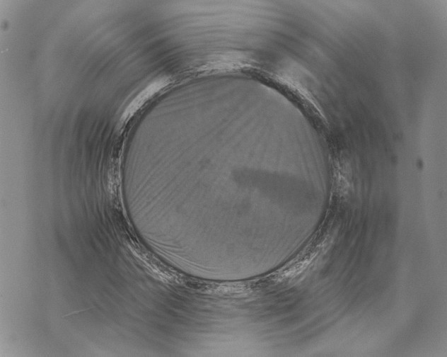 X0000070250874200606301623