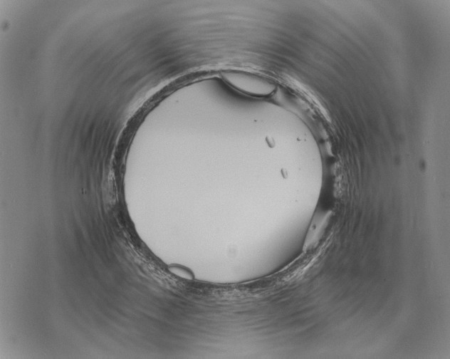 X0000070250876200606301623