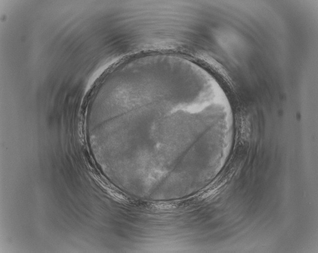 X0000070250878200606301623