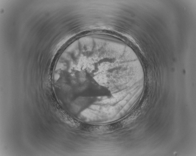 X0000070250879200606301623