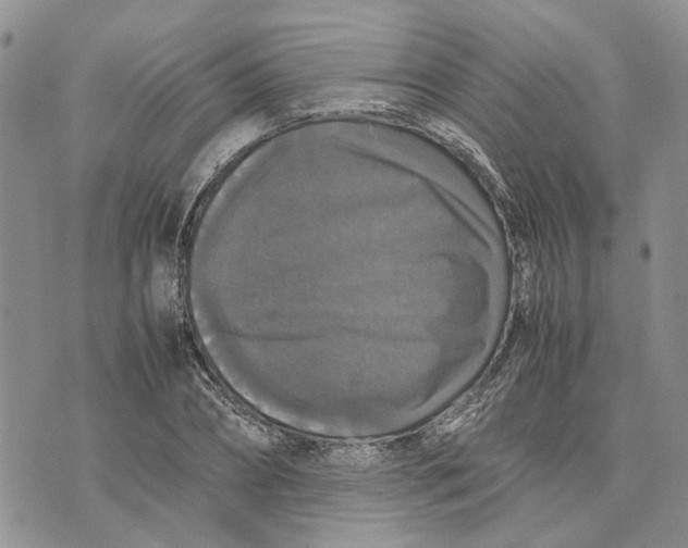 X0000070250882200606301623