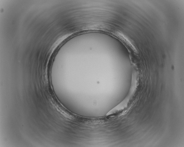 X0000070250884200606301623