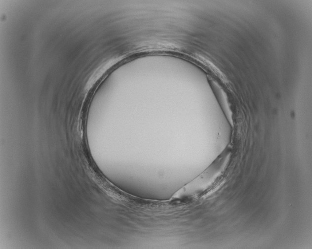 X0000070250885200606301623