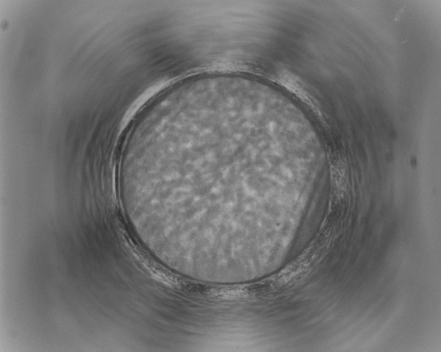 X0000070250886200606301623