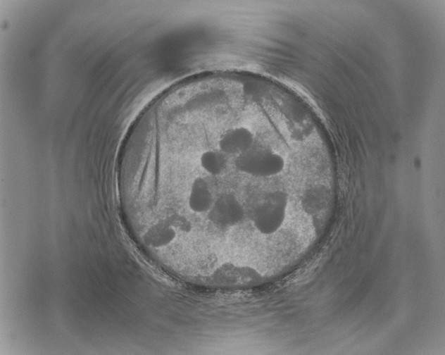 X0000070250887200606301623