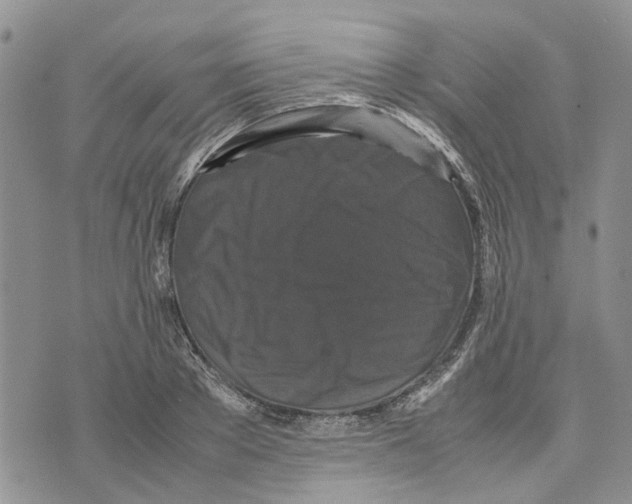 X0000070250889200606301623