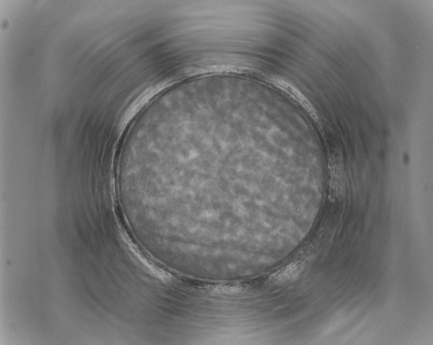 X0000070250890200606301623