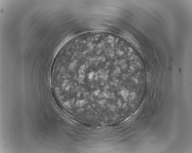 X0000070250891200606301623